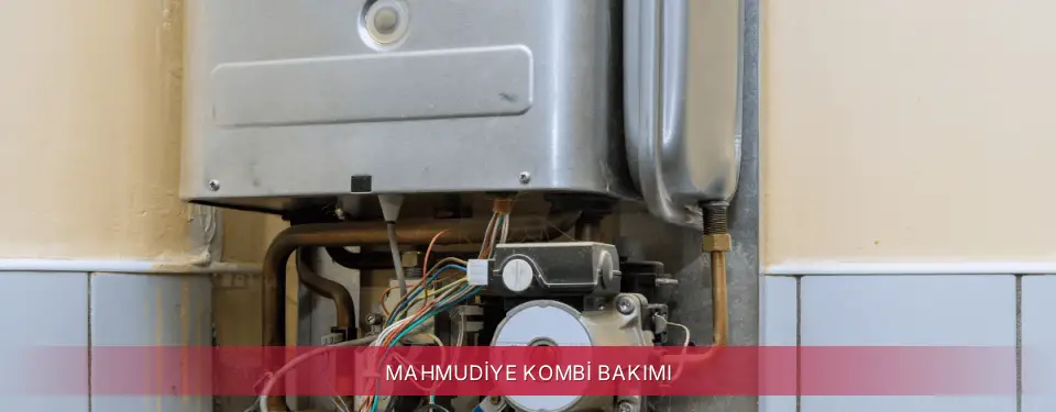 Mahmudiye İlçemi Ferroli Kombi Bakımı